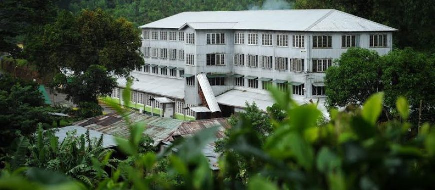 mk_tea_factory