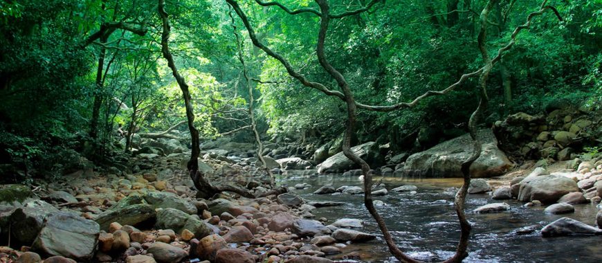 meemure-matale